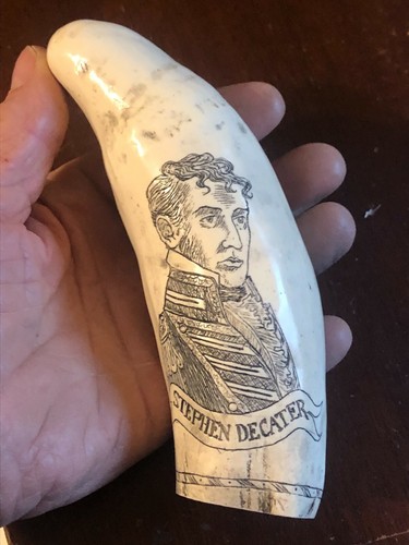 Scrimshaw sperm whale tooth - scrimshaw,