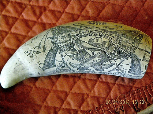 Scrimshaw sperm whale tooth - scrimshaw,
