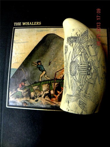 Scrimshaw sperm whale tooth - scrimshaw,